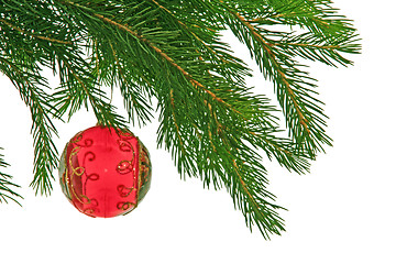 Image showing christmas branch of fir-tree with red boll