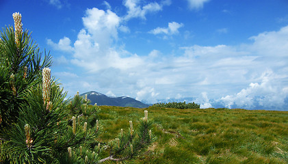 Image showing Alpine landscape