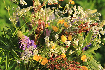 Image showing colourful summer flowers