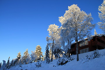 Image showing winter landscape norway