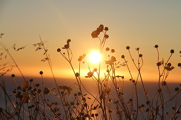 Image showing Midnight sun lofoten north norway