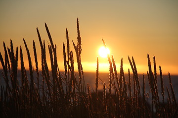 Image showing Midnight sun lofoten north norway