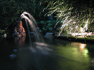 Image showing Frog fountain in garden