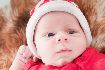 Image showing Newborn baby in chritstmas hat