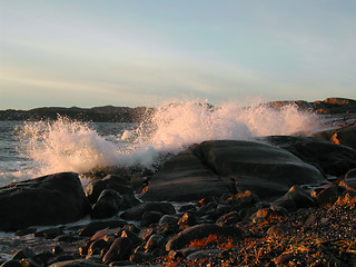 Image showing Sea-spray