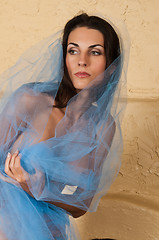 Image showing Blue tulle