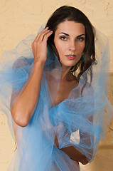 Image showing Blue tulle