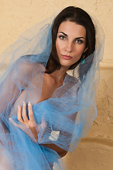 Image showing Blue tulle