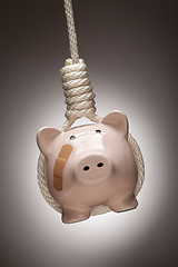 Image showing Piggy Bank with Bandage Hanging in Hangman's Noose