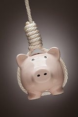 Image showing Piggy Bank Hanging in Hangman's Noose