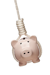 Image showing Piggy Bank Hanging in Hangman's Noose on White