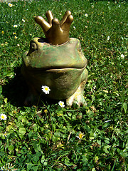 Image showing frog king