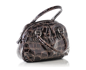Image showing Woman's Leather Handbag 