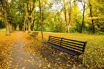 Image showing bench in the park