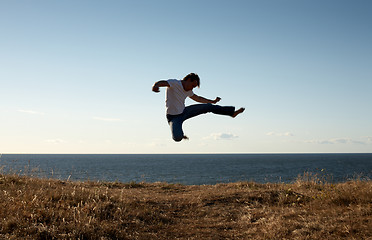 Image showing jump-kick