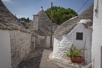 Image showing Alley Alberrobello Apulia