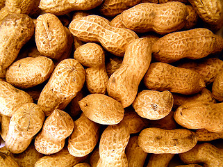 Image showing peanut