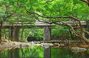 Image showing Bridge in forest