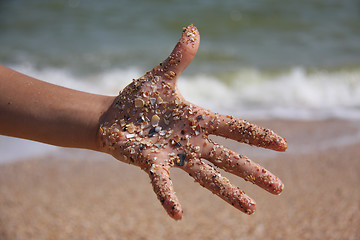 Image showing hand in shells