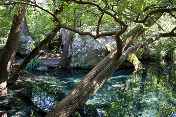 Image showing lake in the park