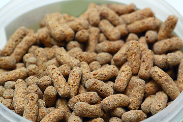 Image showing Pet food pellets