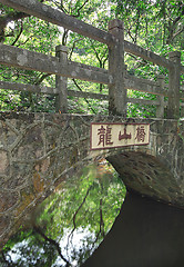 Image showing Bridge in the forest