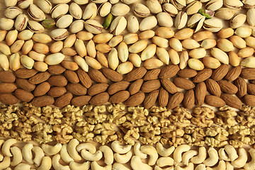 Image showing Nut varieties