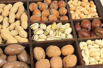 Image showing Nut varieties