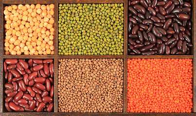 Image showing Beans