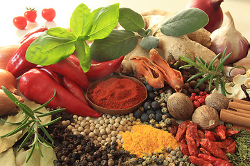 Image showing Spices and herbs