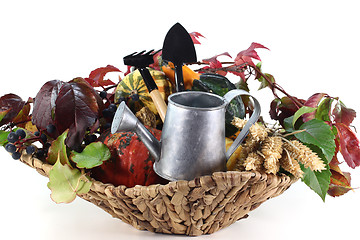 Image showing Thanksgiving basket