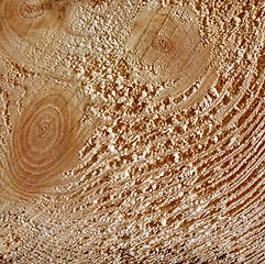 Image showing Cut of a tree