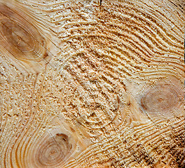 Image showing Cut of a tree