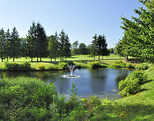 Image showing summer landscape