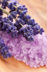 Image showing Bath Salt With Fresh Lavender Flowers