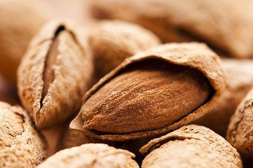 Image showing Sweet almonds with kernel 