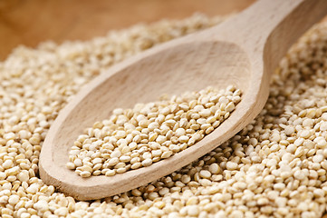 Image showing Quinoa grain