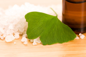 Image showing ginko biloba essential oil with fresh leaves - beauty treatment