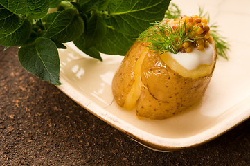 Image showing Baked potato with sour cream, grain Dijon mustard and herbs