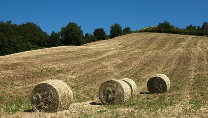 Image showing Rural views of Tuscany, Italy