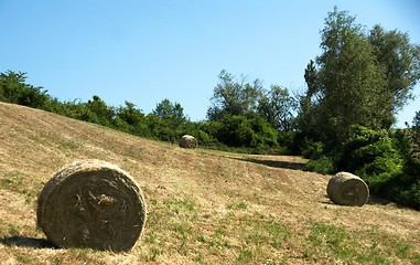 Image showing Rural views of Tuscany, Italy