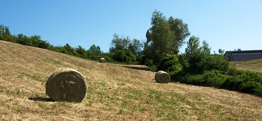 Image showing Rural views of Tuscany, Italy