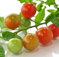 Image showing cherry tomatoes