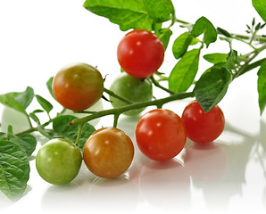 Image showing cherry tomatoes