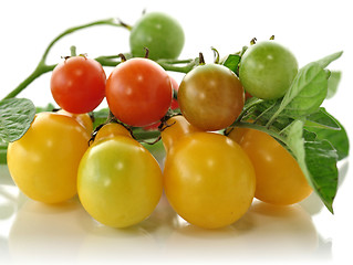 Image showing yellow and red small tomatoes 