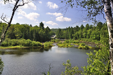 Image showing summer landscape