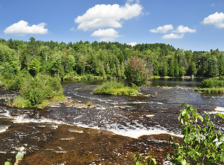 Image showing summer landscape