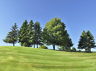 Image showing hill with trees