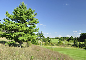 Image showing summer landscape