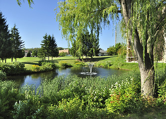 Image showing summer landscape with pond 